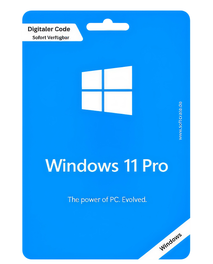 Windows 11 Professional